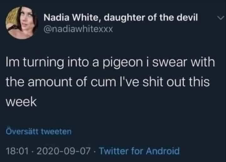 The meme is a screenshot of a tweet from a user named "dorothy" with the handle "@dorothyisdead". The text reads: "i'm turning into a pigeon and i don't know why".